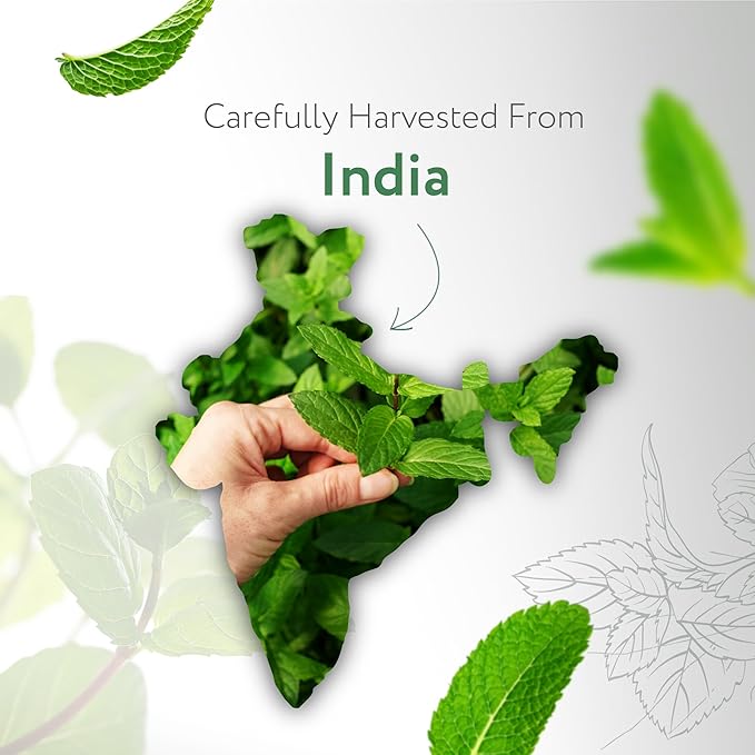 HBNO California Bottled Peppermint Essential Oil 4 fl oz (120ml) - Premium Grade Natural Peppermint Oil for Hair, Skin & Scalp Care - Ideal for Masage, Diffusers & Aromatherapy - with Glass Dropper-Velvo Beauty