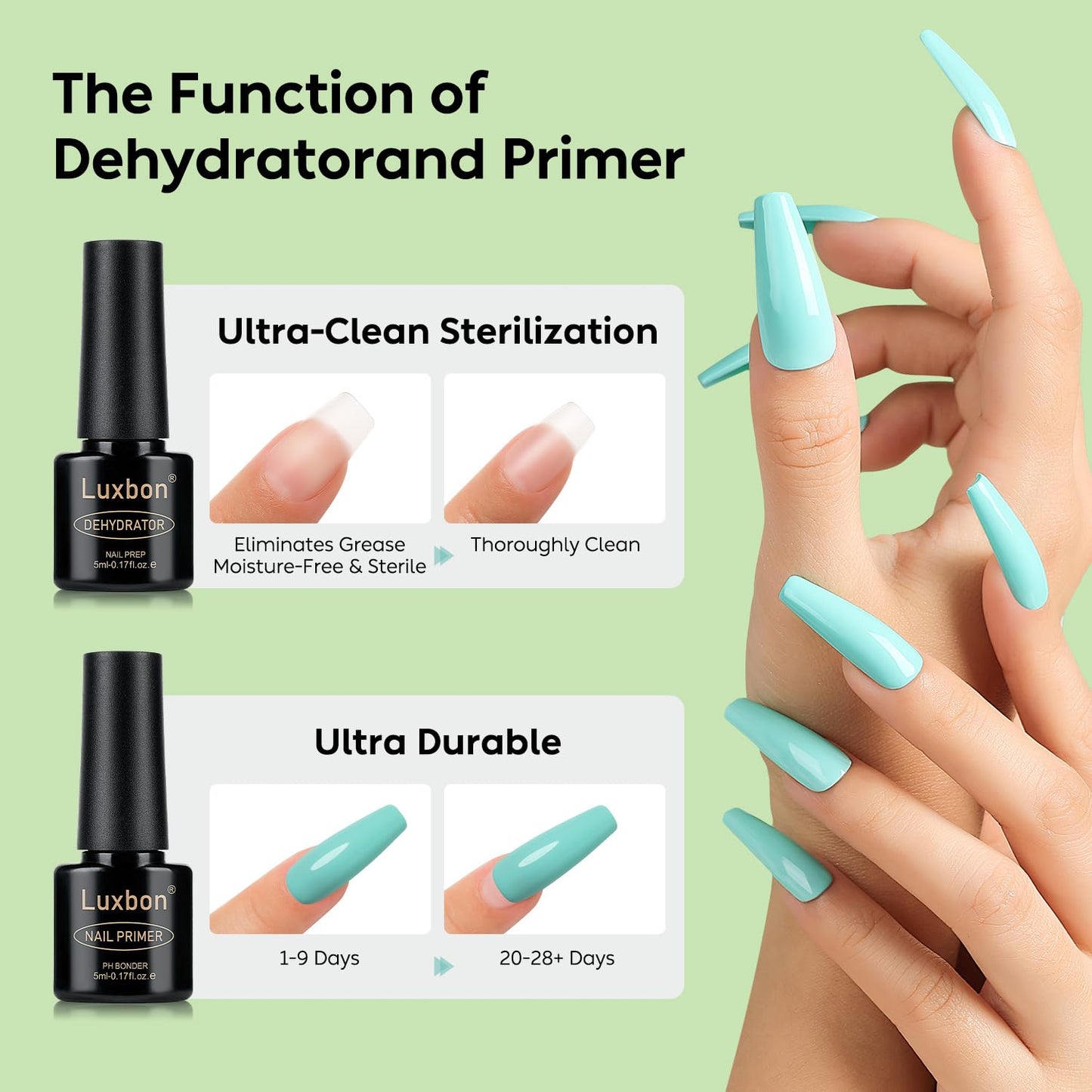 Luxbon 6 Pcs 5ml No Wipe Gel Top Coat and Base Coat Set - Cuticle Oil, Nail Primer Dehydrator, Matte Top Coat, Long Lasting, Shine Finish, UV LED Nail Lamp Soak Off Gel Base Top Coat Manicure-Velvo Beauty