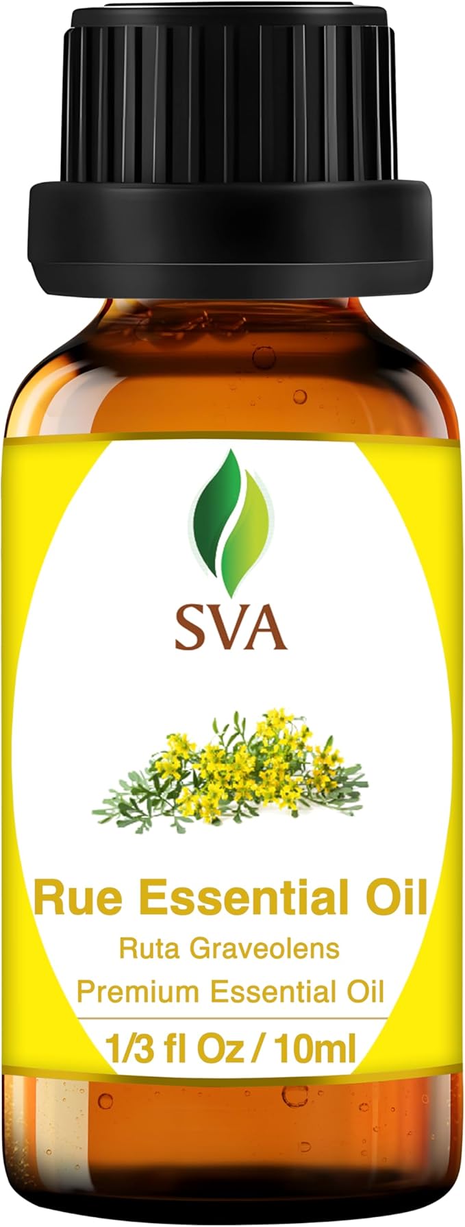 SVA Rue Essential Oil – 1/3 Fl Oz – 100% Natural Rue Oil - for Diffuser, Hair Care, Face, Skin Care, Aromatherapy, Scalp and Body Massage, Soap and Candle Making-Velvo Beauty