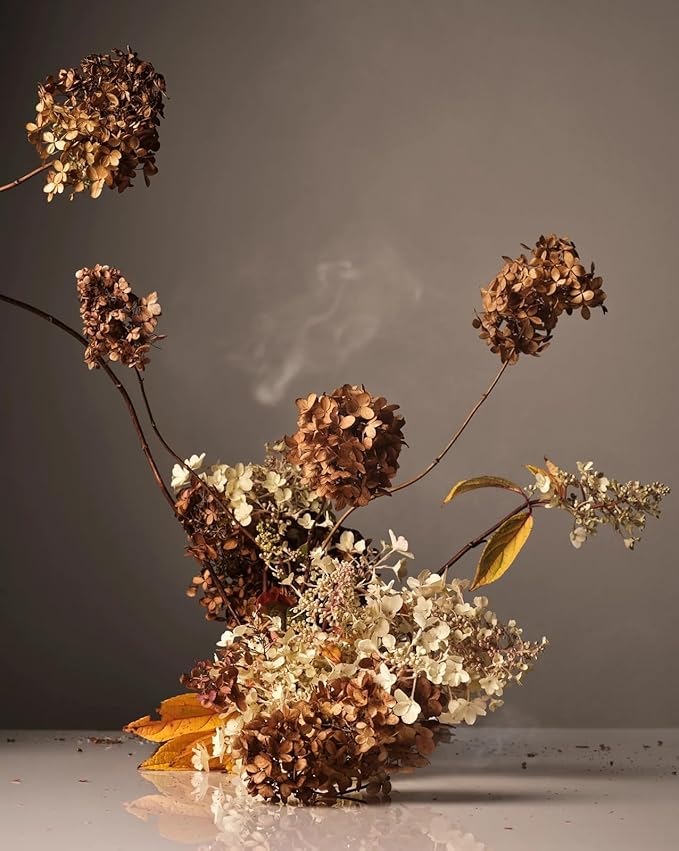 Homecourt Hand Wash, Gently Cleanses & Hydrates, Removes Dirt & Debris Without Irritating Skin, Clean Formula, Cece, 12 fl oz-Velvo Beauty