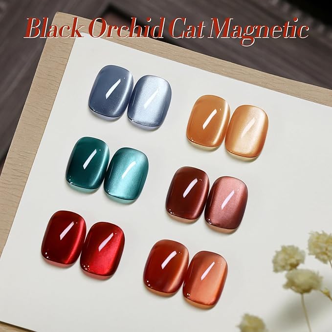 BORN PRETTY Magnetic Gel Nail Polish Water Light Cat Magnetic Eye Gel Black Orchid Jelly Glass Crystal Magnetic Gel Polish Glitter Shimmer Auroras Magnetic Gel Nail Art Manicure Kit 6PCS-Velvo Beauty
