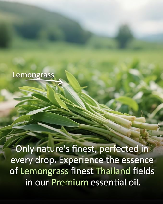 Pure Citronella Essential Oil, 100% Pure Natural Citronella Essential Oil, Premium Grade Essential Oils for Diffusers for Home, Skin, Care Massage, Soap Making, Aromatherapy, 4 Fl Oz | 120ml-Velvo Beauty