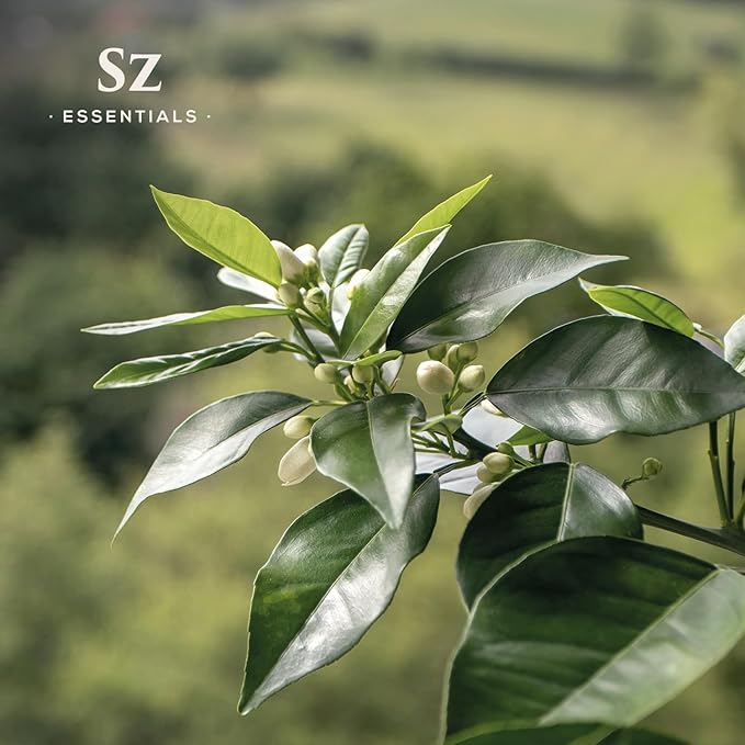 Petitgrain Sur Fleurs Essential Oil - 100% Pure and Undiluted - Extracted from Neroli-Bitter Orange Tree - Citrusy & Woody Scent with Fresh Neroli Floral Overtones - Therapeutic Grade-Velvo Beauty