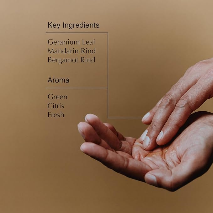 Aesop Geranium Leaf Body Cleanser - Invigorating Gentle Cleansing Gel - Green, Citrus, Fresh - 16.9 fl oz-Velvo Beauty