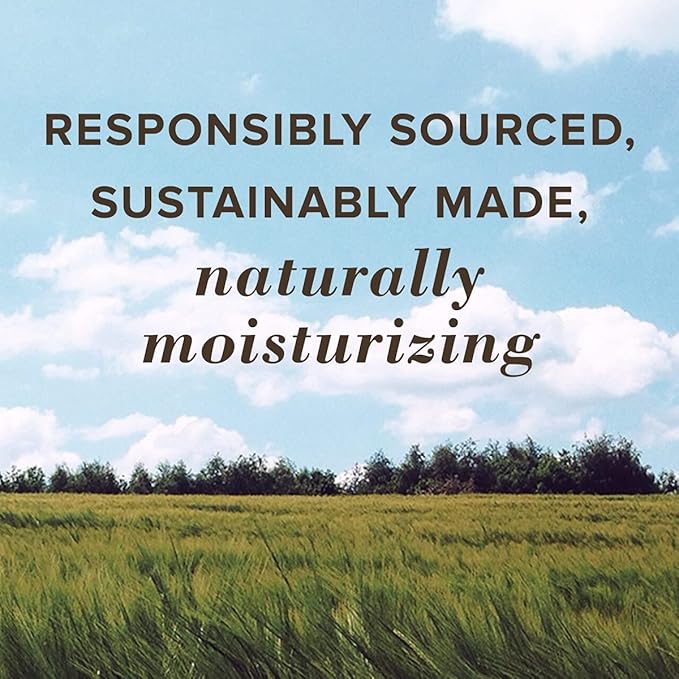 Burt's Bees Lip Balm - Mango, Lip Moisturizer With Responsibly Sourced Beeswax, Tint-Free, Natural Origin Conditioning Lip Treatment, 2 Tubes, 0.15 oz.-Velvo Beauty