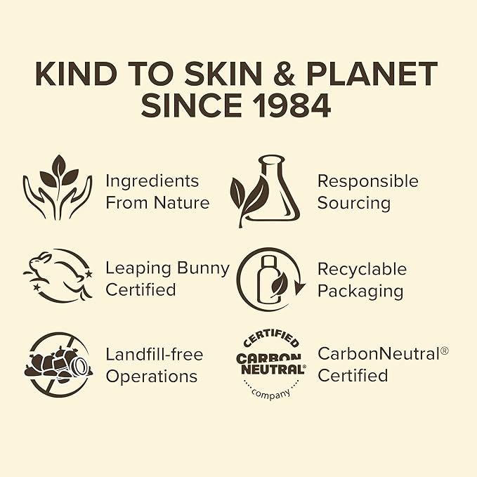 Burt’s Bees Holiday Gift, 4 Lip Balm Stocking Stuffer Products, Beeswax Bounty Assorted Set - Original Beeswax, Vanilla Bean, Cucumber Mint & Coconut Pear (Old Verison)-Velvo Beauty