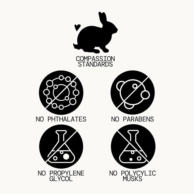 Pacifica Beauty, Wanderlust Spray Perfume Trial Set, Island Vanilla, 5 Scents, Fragrance Sampler Gift Set, Natural & Essential Oils, Clean, Vegan & Cruelty Free-Velvo Beauty