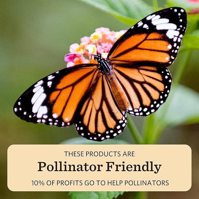 Moon Valley Organics Beeswax Lip Balm for Moisturizing Lips and Cuticles (SWEET HONEY, 1-Pack)-Velvo Beauty