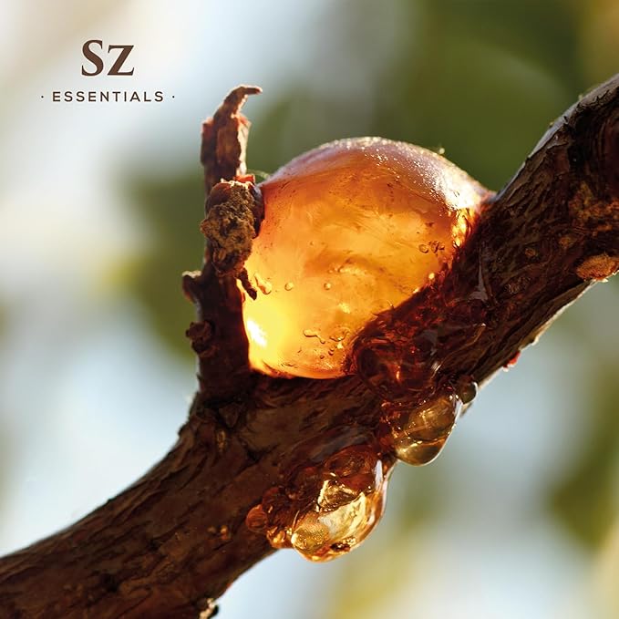 Elemi Essential Oil (Canarium Luzonicum) - 100% Pure and Undiluted - Fresh, Citrusy & Spicy Scent with Subtle Balsamic and Peppery Undertones - Therapeutic Grade & Vegan -0.17 oz (5ml)-Velvo Beauty