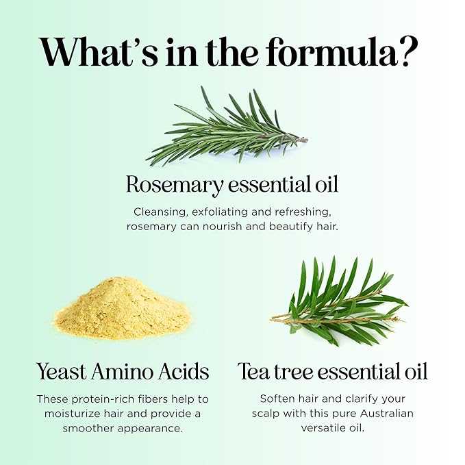 Shampoo and Conditioner for Oily Hair and Scalp - Sulfate and Paraben Free Shampoo and Conditioner Set for Oily Hair with Deep Cleansing Tea Tree Oil - Vegan Color Safe & Cruelty Free (16 Fl Oz)-Velvo Beauty