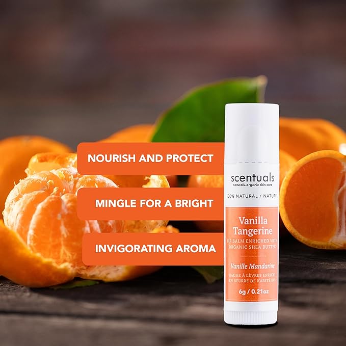 Lip Balm Vanilla Tangerine Set of 3, Made with Shea Butter, Cocoa Butter, Avocado & Jojoba oil, Beeswax, Vitamin E and Essential oil, Moisturizing Lip Care, Cruelty Free Hydration, Natural (3 Pack)-Velvo Beauty