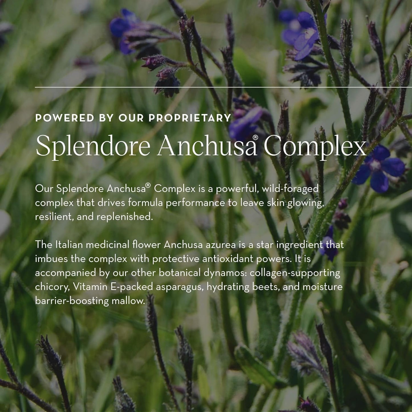 Furtuna Skin Micellar Cleansing Essence Water - Dual-Use Cleanser & Toner, Nutrient-Rich, pH Balanced, Organic Botanicals, Dermatologist Approved - 15ml-Velvo Beauty