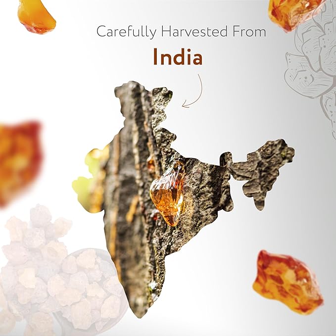 HBNO California Bottled Organic Frankincense Essential Oil 4 fl oz (120ml) - USDA Certified Oil - Organic Frankincense Essential Oil for Skin and Aromtherapy-Velvo Beauty