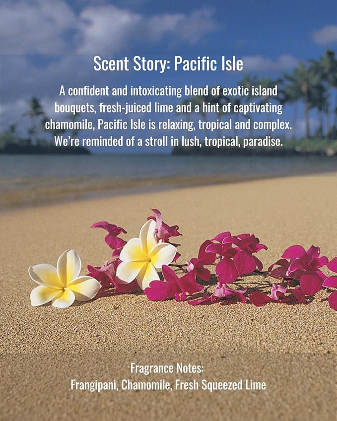 Hines+Young Travel Tins Gift Set - 4 oz Body Cream, 2 oz Linen Spray, Natural Lip Balm - Skin Care and Refreshing Home Fragrance, Ideal Self-Care Gift Set (Pack of 3, Pacific Isle)-Velvo Beauty