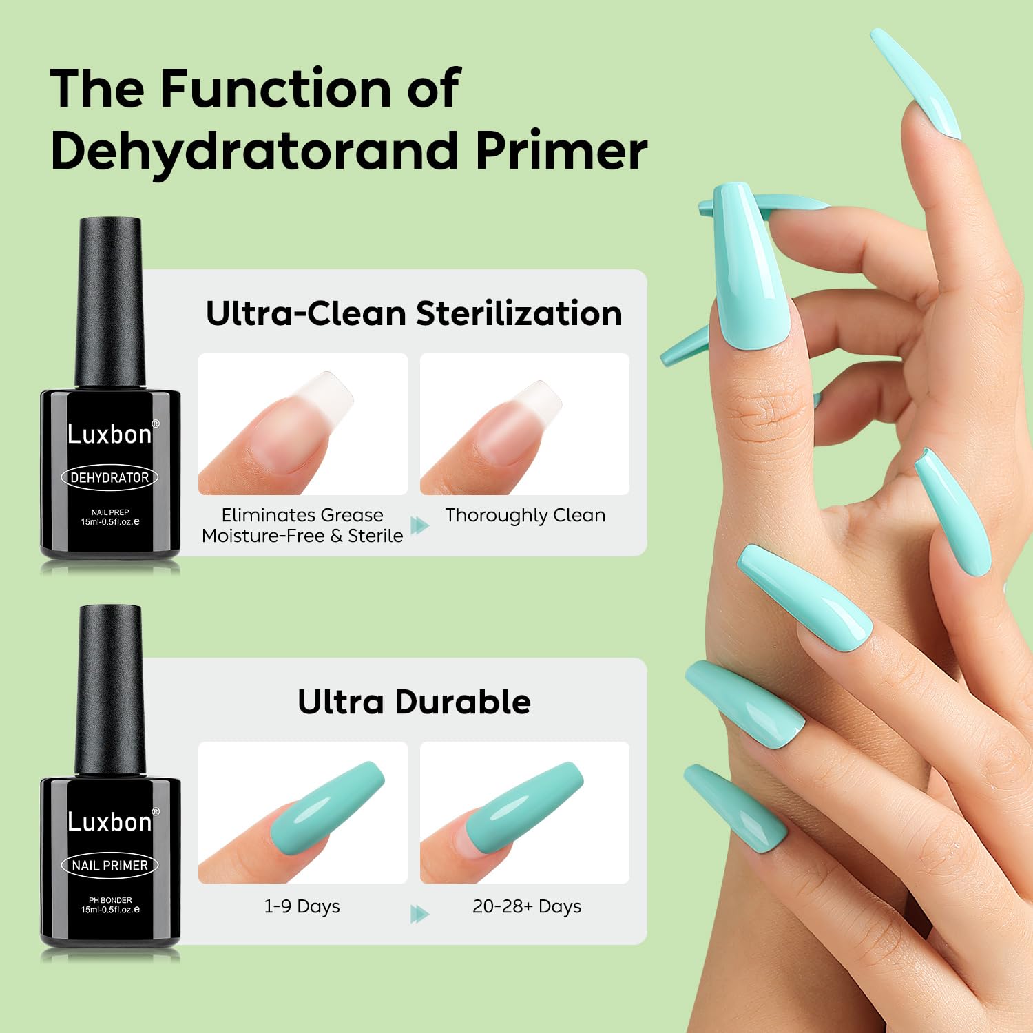 Luxbon 2 Pcs 15ml Nail Primer & Nail Dehydrator Set - Long Lasting, Shine Finish, UV LED Nail Lamp Soak Off Gel Nail Prep Set Manicure-Velvo Beauty