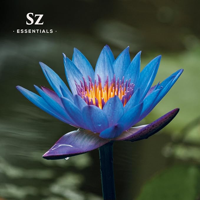 Blue Lotus Essential Oil 100% Pure, Undiluted Oil - Extracted from Nymphaea Caerulea - Rich & Sweet Scent with Fruity Overtones - Therapeutic Grade & Vegan - 0.17oz (5ml)-Velvo Beauty
