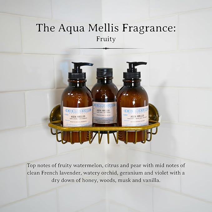 C.O. Bigelow Aqua Mellis Body Lotion, Iconic Collection Moisturizing Body Lotion with Shea Butter, Borage Oil & Grapeseed Oil, 10.5 Fl Oz-Velvo Beauty