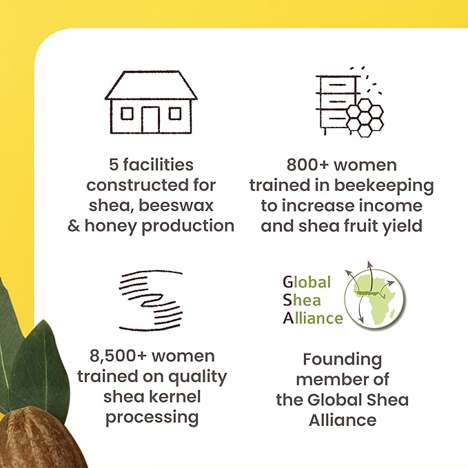 Burt's Bees Lip Balm Mothers Day Gifts for Mom - Shea and Aloe Lip Moisturizer With Responsibly Sourced Beeswax, Tint-Free, Natural Origin Conditioning Lip Treatment, 4 Tubes, 0.15 oz.-Velvo Beauty