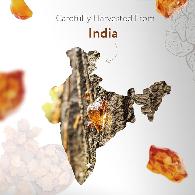 HBNO California Bottled Frankincense Essential Oil (Serrata) 4 fl oz (120ml) - Natural & Premium Grade Frankincense Oil Essential Oil,-Velvo Beauty