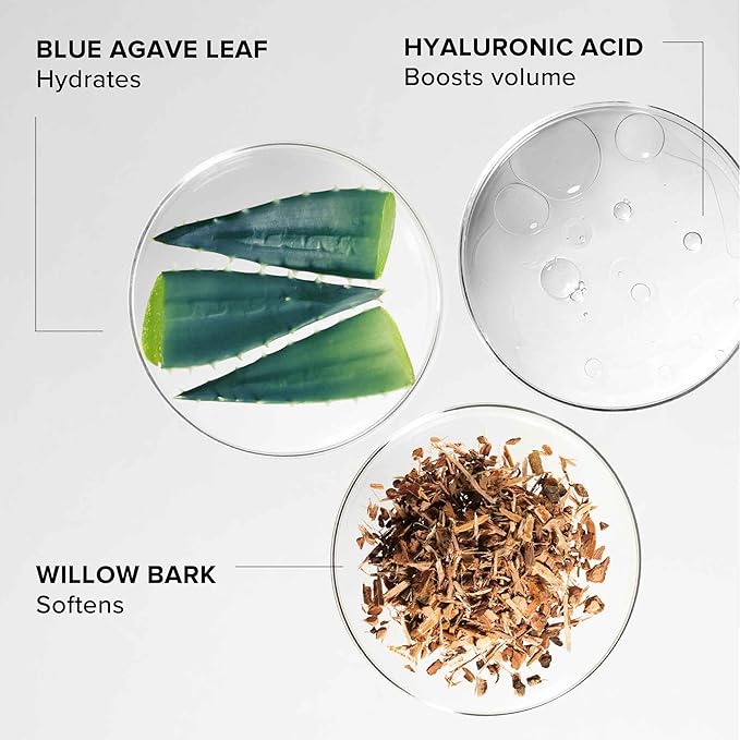 Alpyn Willow & Sweet Agave Plumping Lip Mask | Hydrating Daily Lip Mask Treatment For Fuller, Softer, Smoother & More Supple Lips | 0.35 oz / 10 g-Velvo Beauty