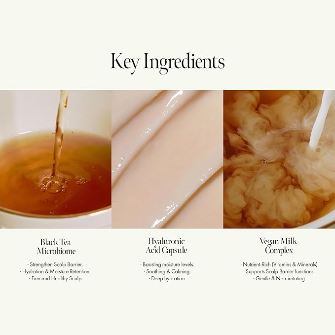 Vegan Nourishing Scalp Shampoo with Black Tea, Hyaluronic & Amino Acids to Strengthen Scalp Barrier, Creamy Woody Scent, Paraben, Sulfate & Silicone Free 450ml / 15.22 fl. Oz-Velvo Beauty