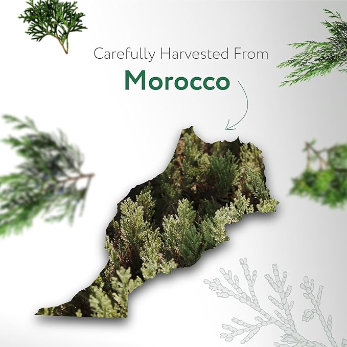 HBNO Organic Cedarwood Essential Oil - Huge 4 oz (120ml) Value Size - USDA Certified Organic Cedarwood Essential Oil for Aromatherapy, Soap Making, DIY, Fragrances, Diffuser.-Velvo Beauty