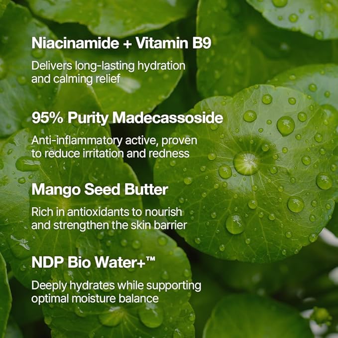 NDP Vitamin B9 Tone-up Cream, Silicone Free Face Primer for Pore Minimizing, 95% Pure Cica Extract, Breathable Skin Formula, Glass Skin & Lightweight, V-Cream Clean K-Beauty (65ml / 2.19 Fl Oz)-Velvo Beauty