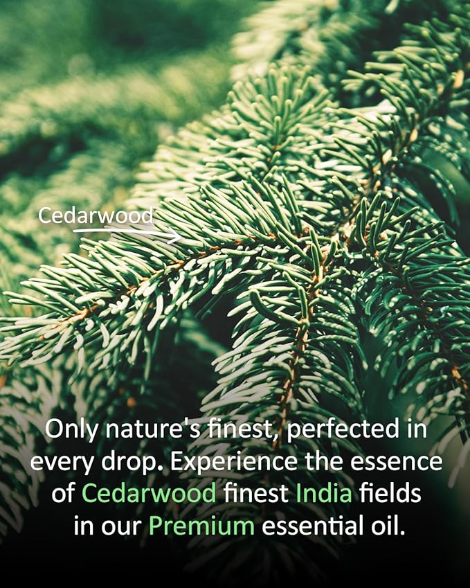 Pure Cedar Essential Oil, 100% Pure Natural Cedar Essential Oil, Premium Grade Essential Oils for Diffusers for Home, Skin, Care Massage, Soap Making, Aromatherapy, 4 Fl Oz | 120ml-Velvo Beauty
