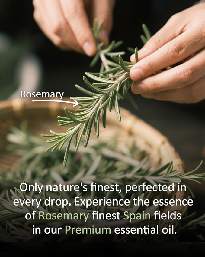 Pure Rosemary Essential Oil Hair Natural Aromatherapy Skin & Body Care Candle Making Home Fragrance Diffuser Oil 4 Fl Oz-Velvo Beauty