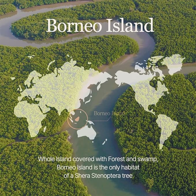 mixsoon Vegan Melting Lip Balm (Dry rose) 0.14 oz / 4.1g-Velvo Beauty