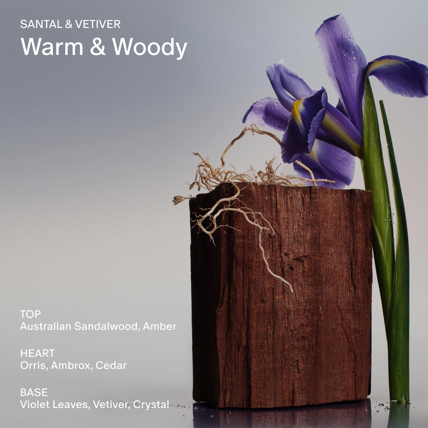 Salt & Stone Body Lotion for Women & Men| Scented Daily Body Lotion | Hydrates, Nourishes & Softens Skin | Restores Dry Skin | Fast-Absorbing | Cruelty-Free & Vegan (450 ml) (Santal & Vetiver)-Velvo Beauty