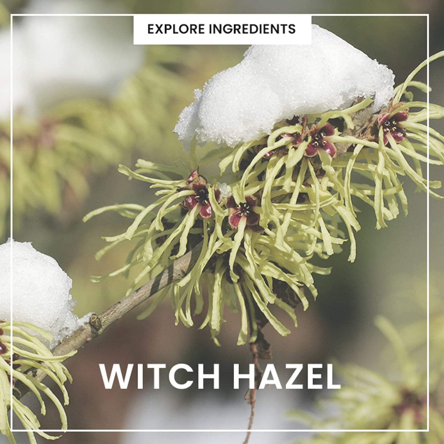 HEIMISH All Clean Green Foam Moisturizing Face Cleanser, Hydrating Gentle Gel Cleanser, Daily Face Wash for Sensitive Skin with Amino Acid, P.H 5.5, for Double Cleansing, Korean Skincare, 5.3oz/150g-Velvo Beauty