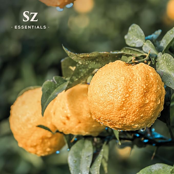 Yuzu Essential Oil - Japan - 100% Pure and Natural, Undiluted - Promotes Natural Solution for Relaxation with Soothing, Fresh and Citrusy Aroma - 0.17 fl oz (5ml)-Velvo Beauty