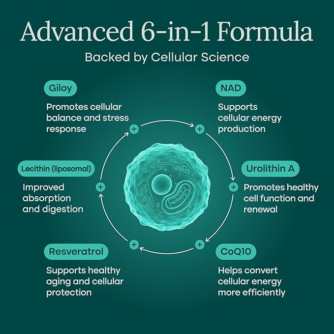 Liposomal NAD+ Supplement 500mg with Urolithin A, CoQ10, Resveratrol & Giloy (Made in USA) Mitochondrial, Cellular Energy, Cognitive, Anti-Aging & Detox Support - 3rd Party Tested Vegan, Non-GMO-Velvo Beauty