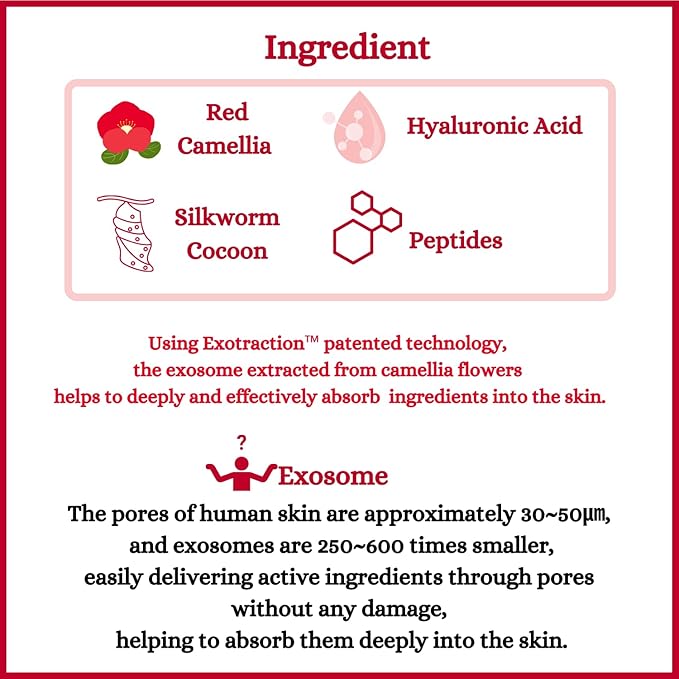 [DermaFi] Red Camellia Cell Activating Mist Facial Toner Spray (3.38 fl oz/100ml)-Velvo Beauty