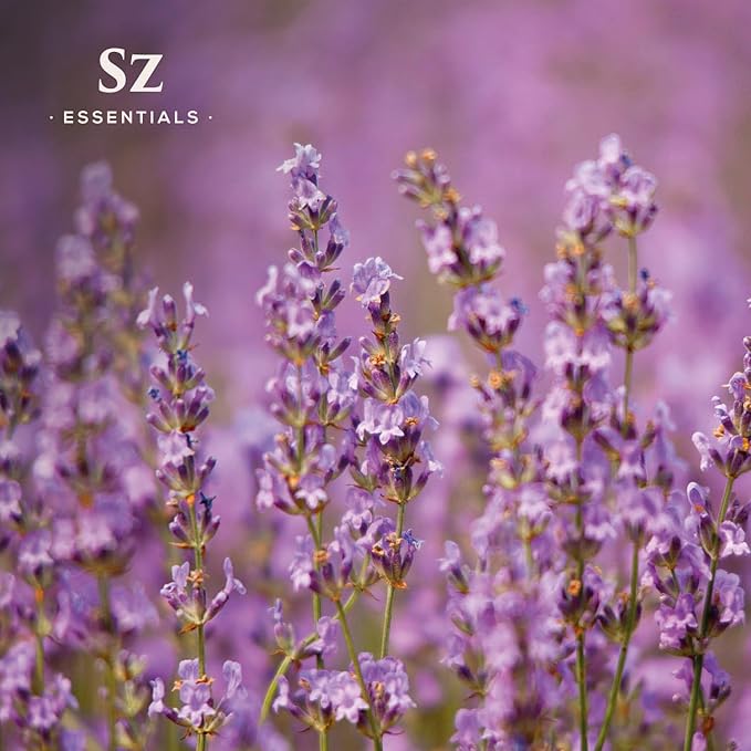 Kashmir Lavender Essential Oil – 100% Pure & Undiluted – Sweet Floral Scent for Relaxation, Aromatherapy, Self-Care, Natural Perfumery – Vegan & Therapeutic – 0.22 fl oz (6.5 mL)-Velvo Beauty