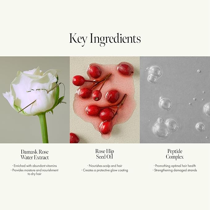 Rosy Night Repair Shampoo – Anti-Dandruff & Damage Repair with Damask Rose Water & Ceramide – Color Safe, Silicone & Sulfate Free (15.22 fl. Oz)-Velvo Beauty