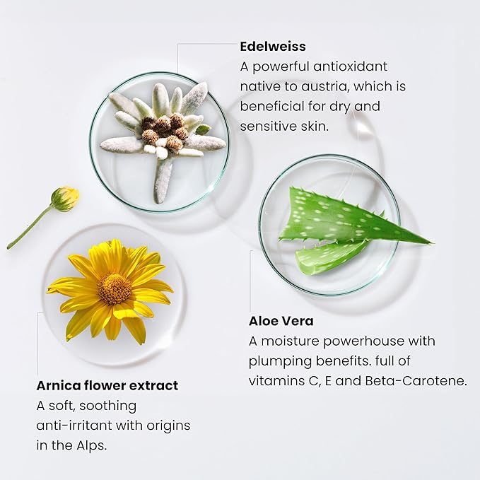 Monika Blunder Beauty - Blunder Cover Foundation Concealer - Shade 9 - Neun - Deep/Dark Warm Neutral Undertones - Clean Beauty, All-In-One, Cruelty-Free, Vegan - 0.62 oz-Velvo Beauty