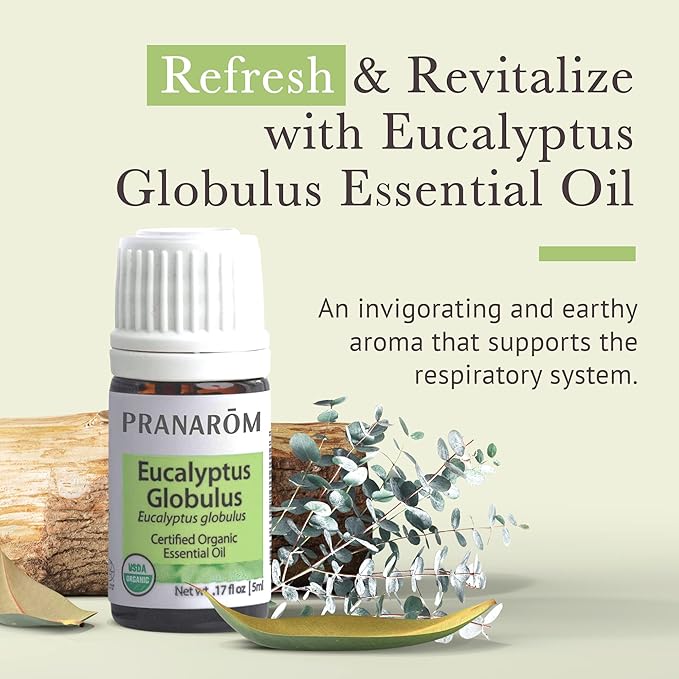 Pranarom - USDA Certified Organic Eucalyptus Globulus Essential Oil 5ml - Wellness Enthusiasts - Aromatherapy - Certified Organic Purity - 100% Pure, Non-GMO, Vegan-Velvo Beauty