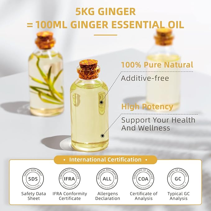 HIQILI 16 Fl Oz Ginger Oil, 100% Pure Natural Ginger Essential Oil for Hair, Massage, Skin - 500ML-Velvo Beauty