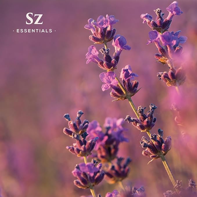 Grasse Lavender Essential Oil - France - Beautiful Floral Lavender Scent with Pine Notes - Lavandula stoechas - 100% Pure & Undiluted - Aromatherapy- Therapeutic Grade & Vegan 0.22 oz-Velvo Beauty