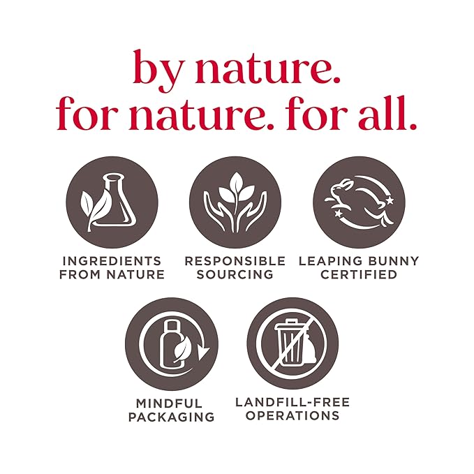 Burt's Bees Lip Balm Mothers Day Gifts for Mom - Balm Bouquet Set, Original Beeswax, Vanilla Bean, Cucumber Mint, Coconut & Pear Pack, Natural Origin Lip Treatment With Beeswax, 4 Tubes, 0.15 oz.-Velvo Beauty