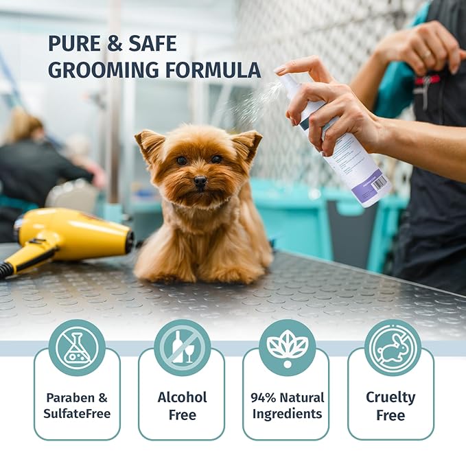 Luxury Male Pet Cologne - Fresh Lavender Scent, 3-in-1 Formula Conditions & Moisturizes, Made with 94% Natural Ingredients, Long Lasting Fragrance, Safe & Easy to Use | 8 fl oz-Velvo Beauty
