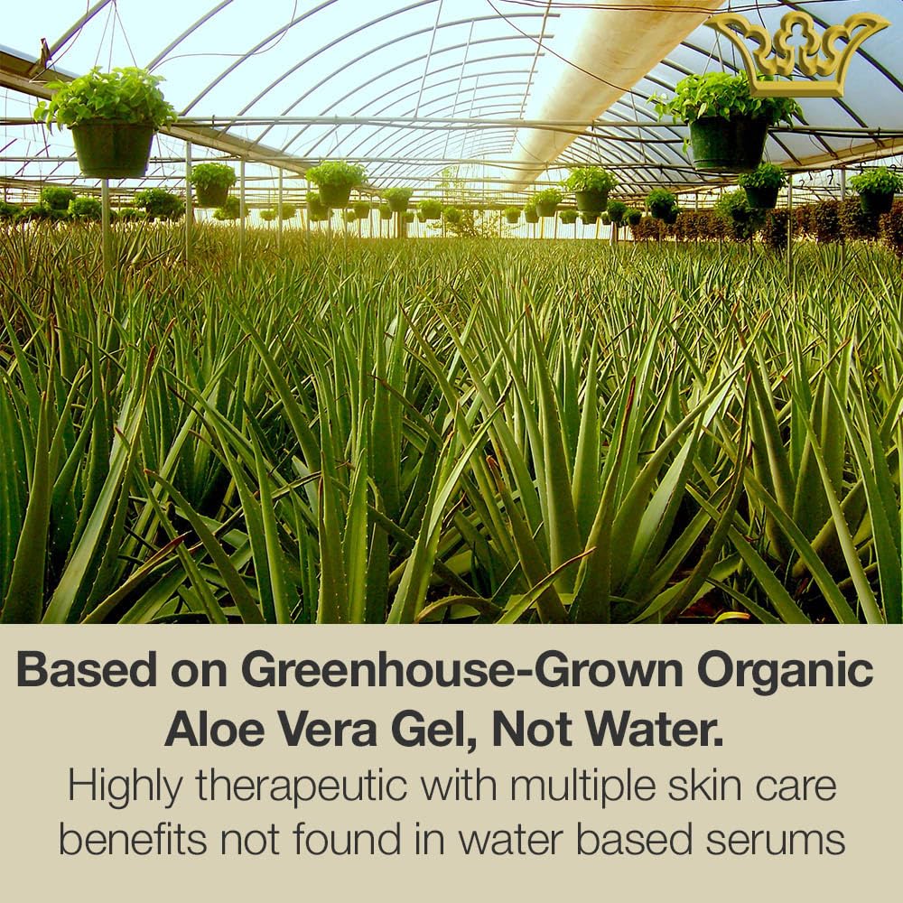 LEROSETT Serum for Acne Scarring Healing, Pimples, Redness, Breakouts, Blemishes, Hydrate & Soothes Irritated Skin, Natural Serum. Spa-Grade, Plant Based, Concentrated - 4 oz-Velvo Beauty