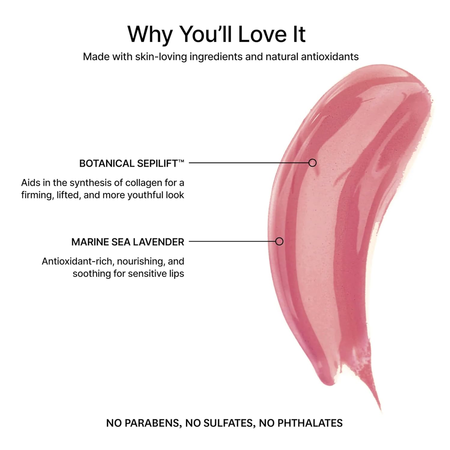 Jillian Dempsey Lip Gloss: Enhance, Hydrate & Smooth Lips with Firming & Plumping Benefits, Vegan, 12ml | Delux Mauve-Velvo Beauty