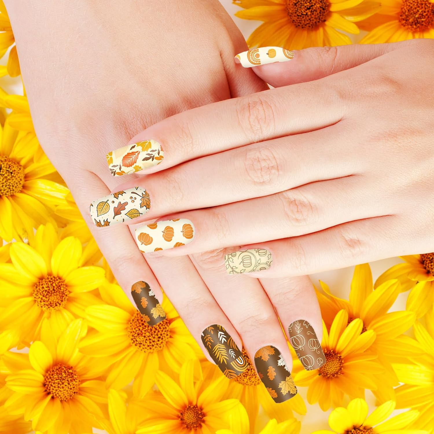 2 Sheet Fall Thanksgiving Nail Art Stamping Plate Kit Assorted Pumpkins Maple Leaves Autumn Blessing Collection Nail Art Plate for Holiday DIY Print Manicure Salon, 5.7 x 3.7inch-Velvo Beauty