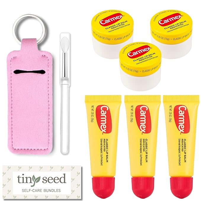 Set of 6 Medicated Lip Balms by Carmex: 3 Jars and 3 Tubes. Carmex Lip Balm Moisturizer, Trusted Relief for Dry, Chapped Lips. Bundled with Silicone Lip Brush and Lip Balm Holder Keychain (Pink)-Velvo Beauty