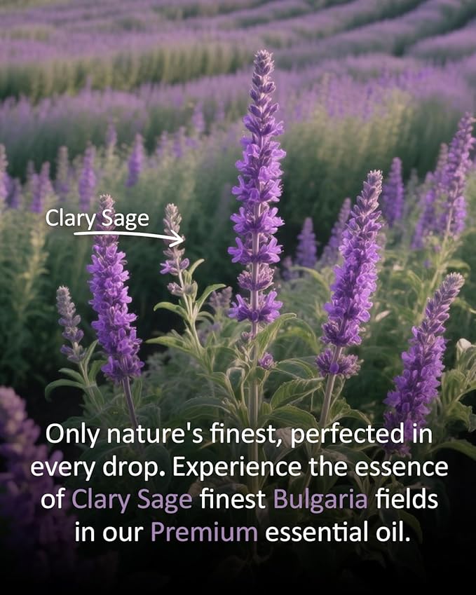 Pure Clary Sage Essential Oil, 100% Pure Natural Clary Sage Essential Oil, Premium Grade Essential Oils for Diffusers for Home, Skin, Care Massage, Soap Making, Aromatherapy, 4 Fl Oz | 120ml-Velvo Beauty