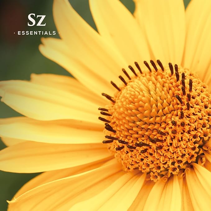 Arnica Essential Oil (Arnica Montana) – Therapeutic Grade, 100% Pure & Undiluted with Fresh Herbal Aroma for Soothing Relief, Aromatherapy, Muscle Recovery & Skin Care - Vegan 0.17 oz-Velvo Beauty