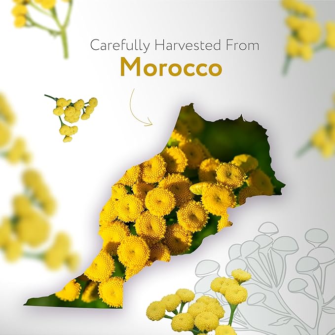 HBNO USDA Certified Organic Blue Tansy Essential Oil - 1/3 OZ (10 ml) Travel Size - Perfect for Aromatherapy, DIY, Candle Making, Soap Making, Diffusers - Blue Tansy Essential Oils-Velvo Beauty